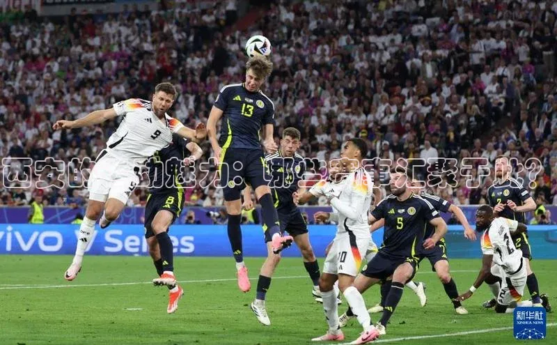 西安的运动魅力：哪些赛事汇聚于此？