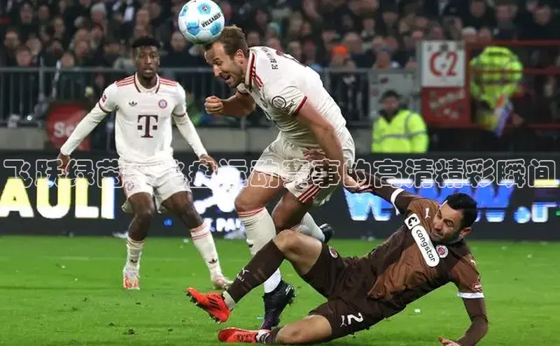 飞跃绿茵：飞盘运动赛事的高清精彩瞬间