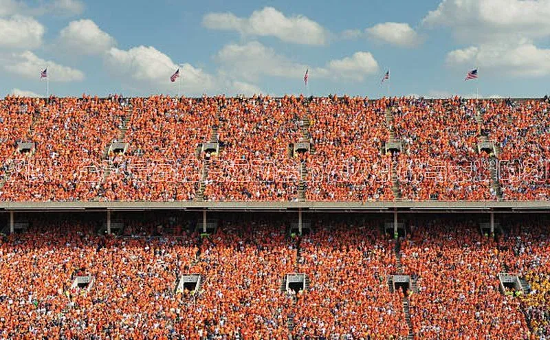 极限：全球最高强度运动会的惊人挑战与荣耀时刻