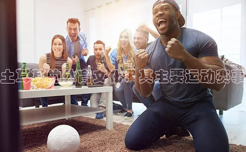 土耳其的体育文化：其主要运动赛事