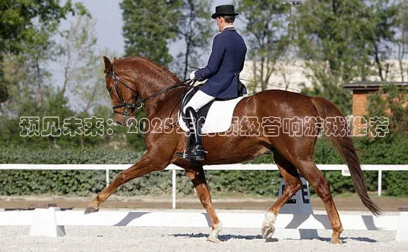 天富平台官网注册链接