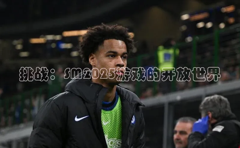 挑战：SM2025游戏的开放世界