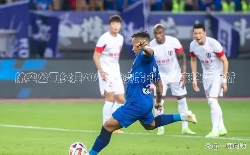 航空公司经理2025:竞赛策略与未来趋势分析